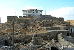 Anberinhark�