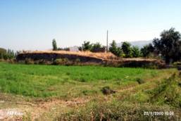 Kavakl�kahve