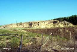 �sgebi