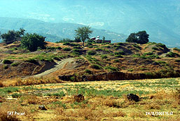 Zincirli