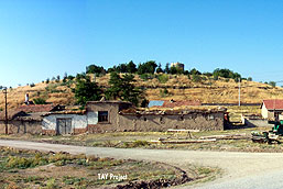 Alibey