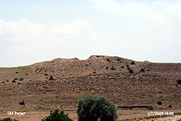 �aykoz