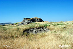 Karayav�an