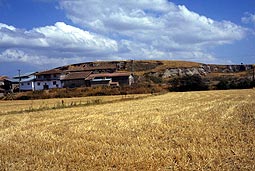 Bolus-Aktepe
