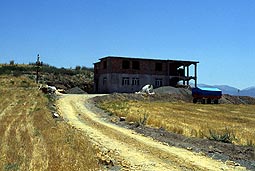 ��naz I