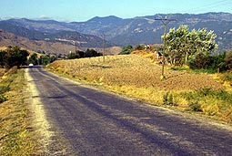 Kabayar H�y�k