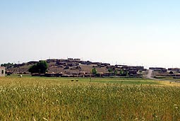 Kekerli