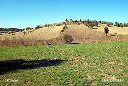 �y�ktepe