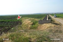 Arpal�k Tepe