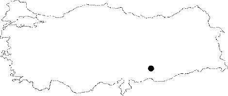 maps